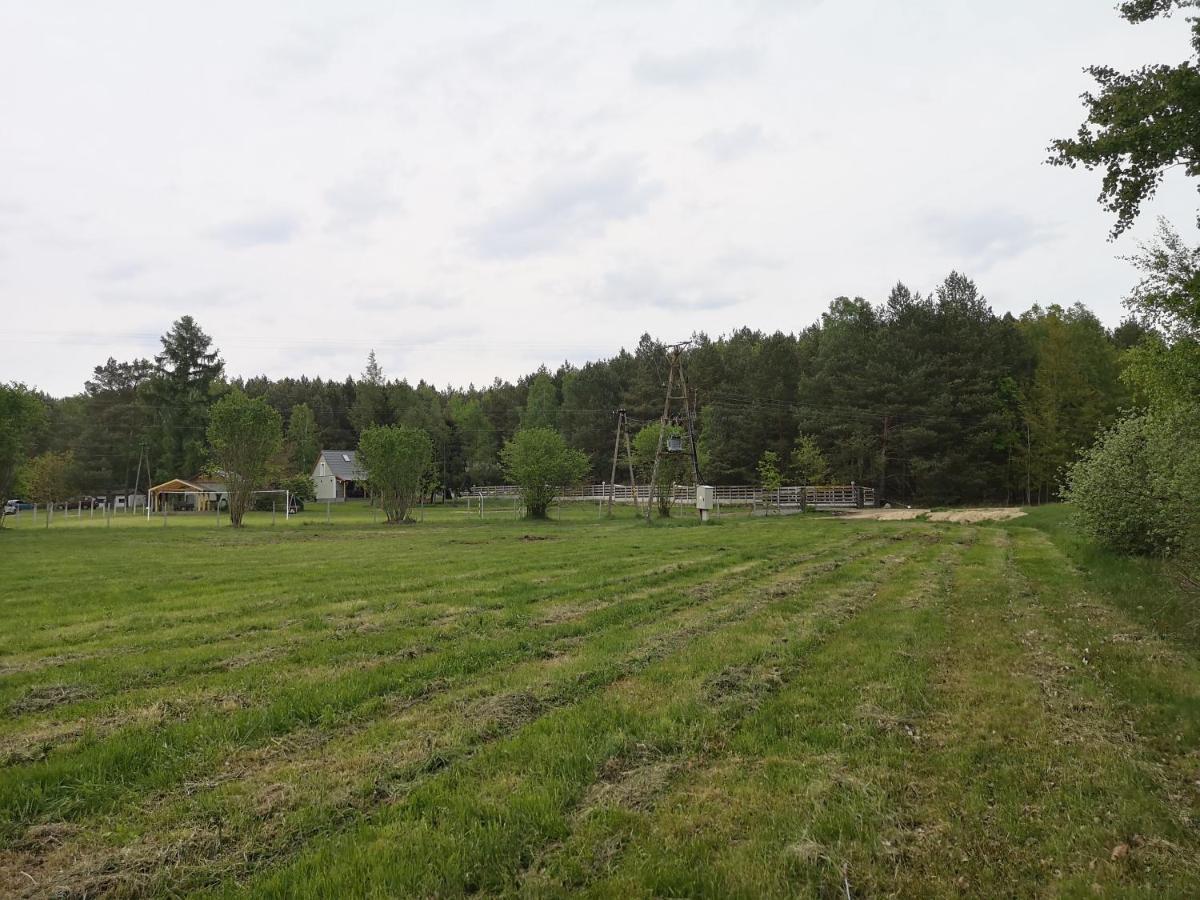 Agroturystyka Plener Miedzichowo Bagian luar foto