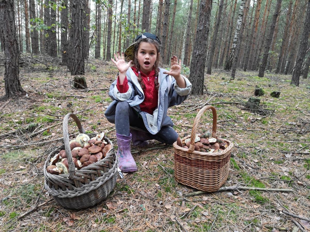 Agroturystyka Plener Miedzichowo Bagian luar foto