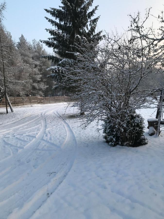 Agroturystyka Plener Miedzichowo Bagian luar foto